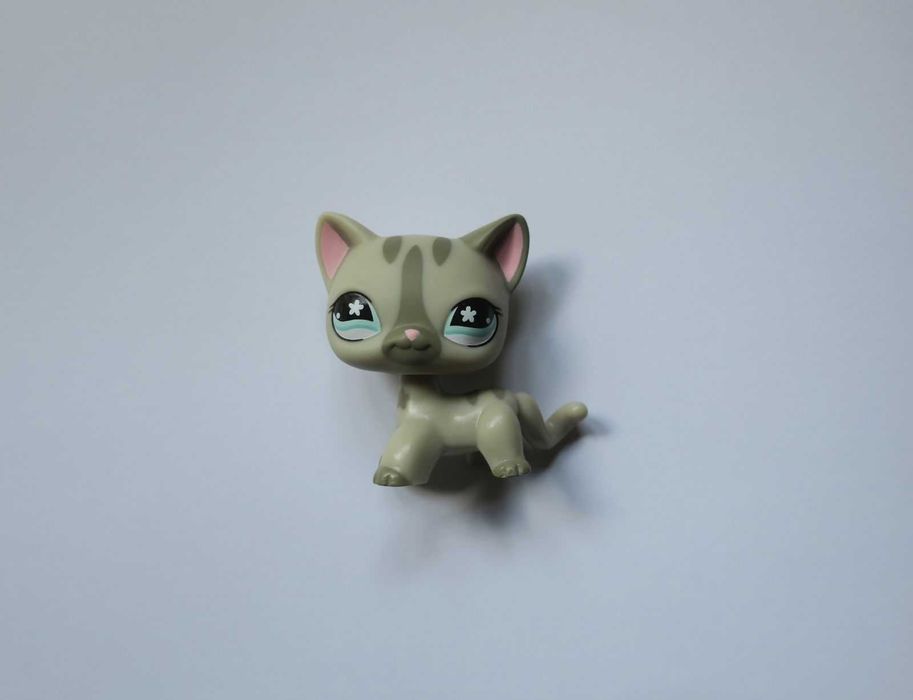 Kot shorthair littlest pet shop kotek