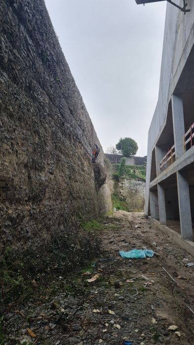 Limpeza de terrenos