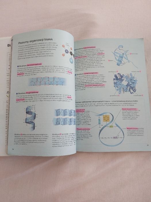 Biologia na czasie. Zakres rozszerzony. dla liceum i technikum klasa 1