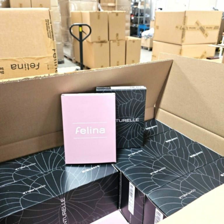 Bielizna damska Felina outlet pakiet 10 szt.