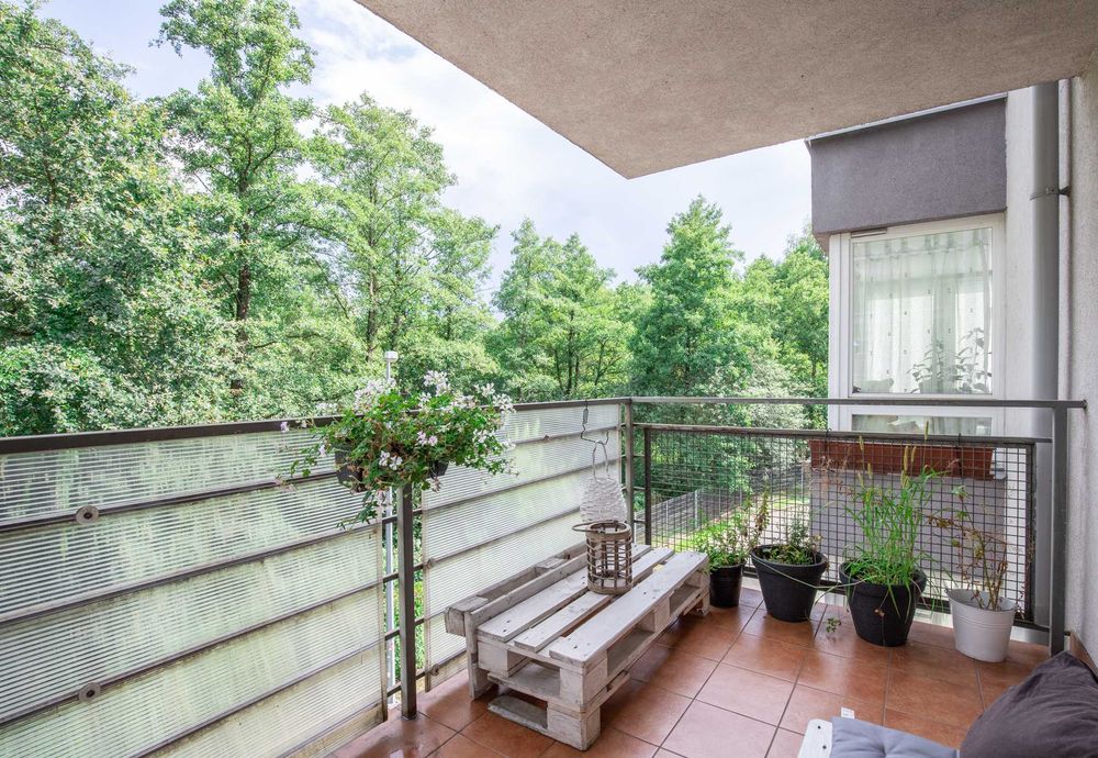 Do wynajęcia przytulne mieszkanie. Balkon z widokiem na las. Od 01.11