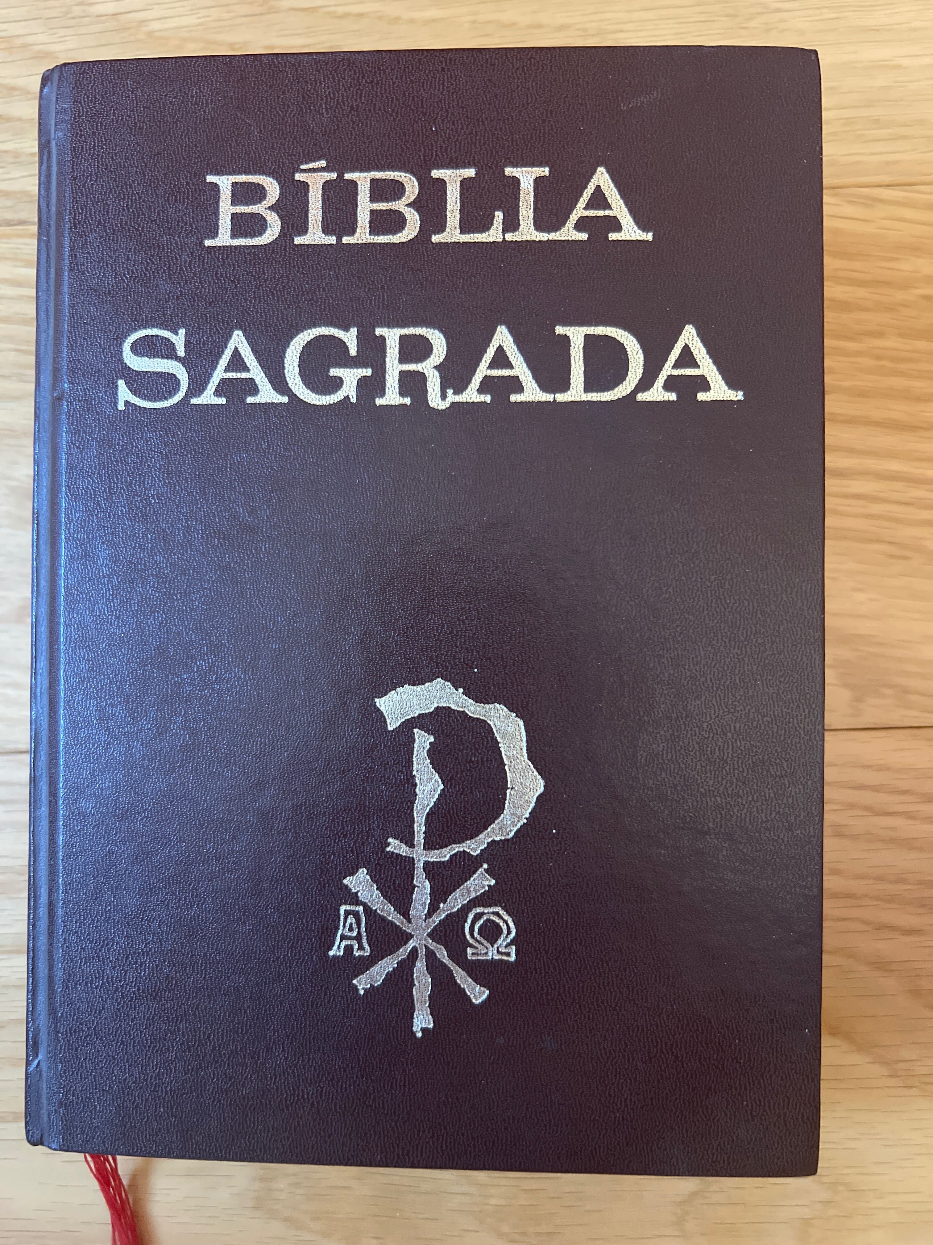 Bíblia Sagrada - capa dura