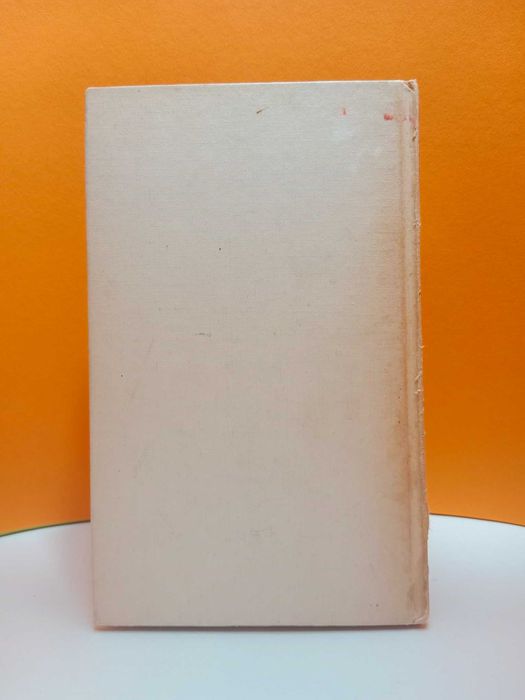 Diário, Che Guevara