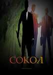 Книга новелла "Сокол"