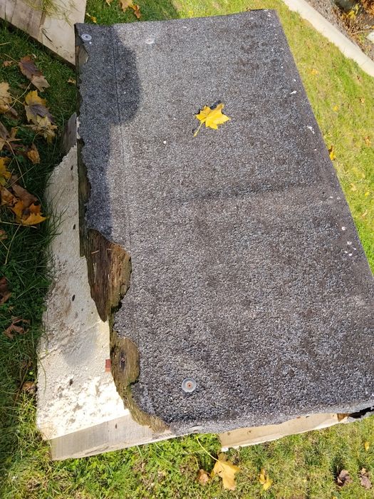 Buda dla psa za darmo