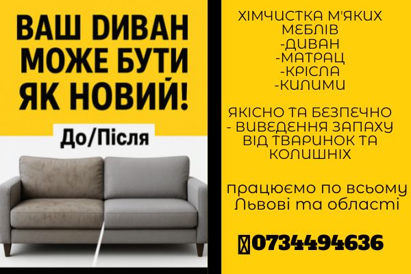 Диван після кота дітей або орендарів ? Очистимо за 1 годину | Львів