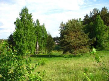 Działka budowlana ładnie położona 10 km od centrum Olsztyna