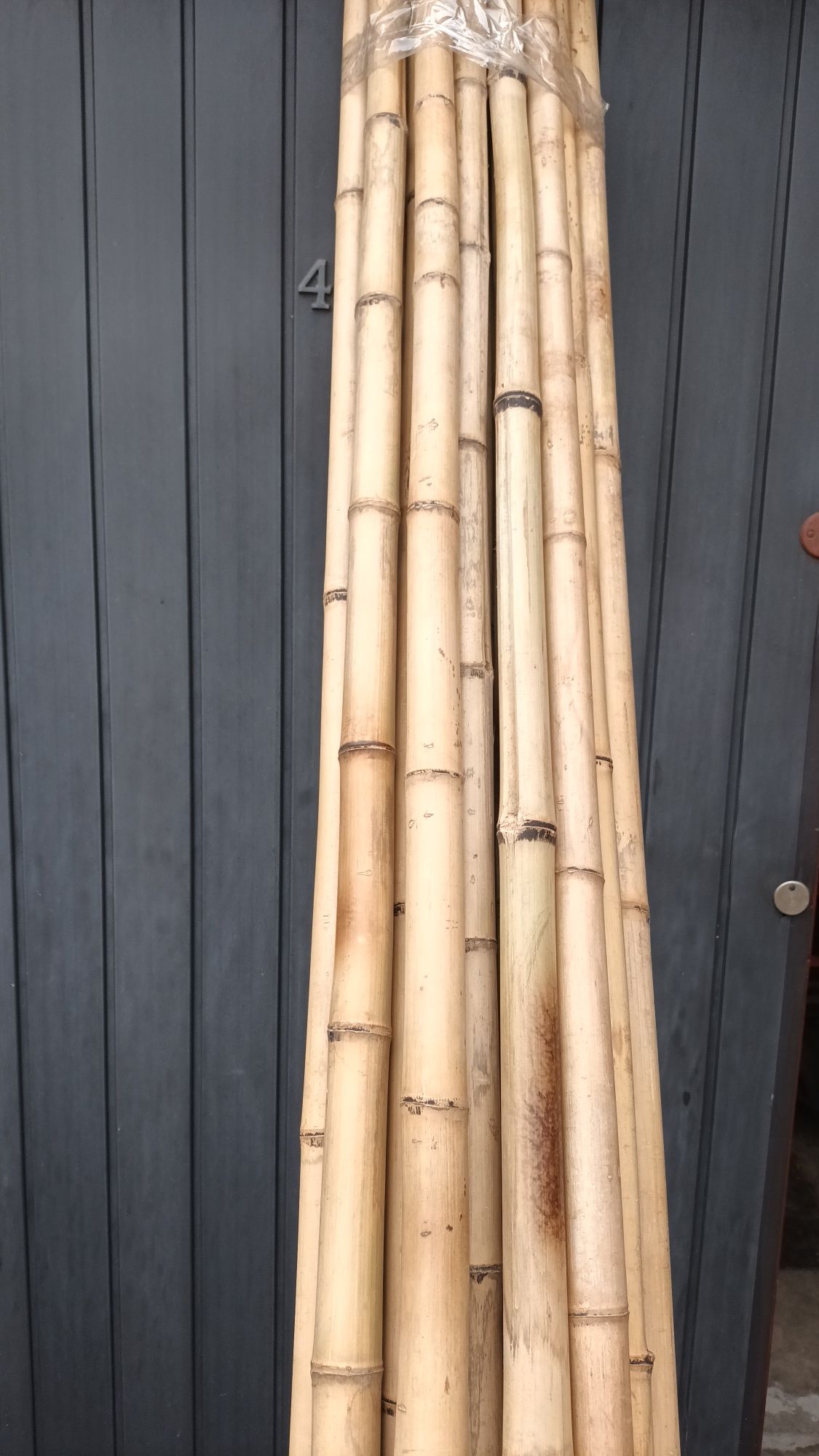 Tyczki bambusowe 250cm