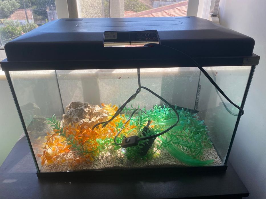 Aquario com decoracao