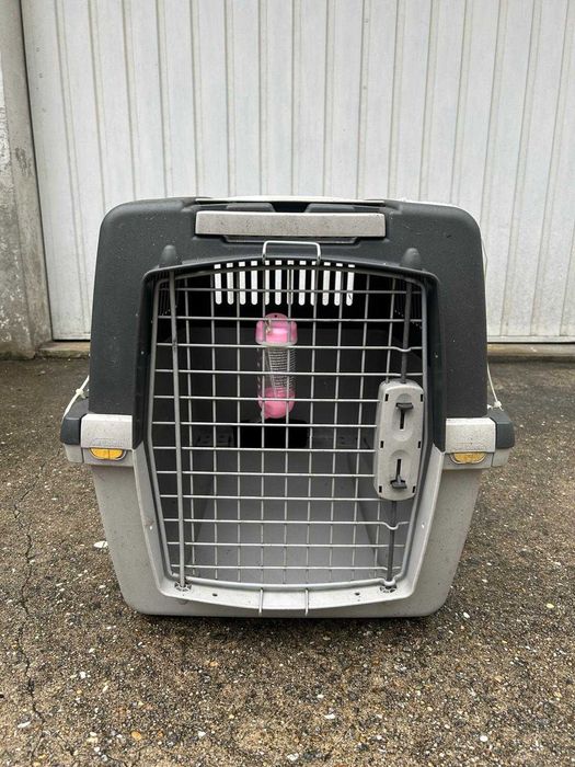 Caixa de transporte Trixie Gulliver 4 para Cães e Gatos + Rodas
