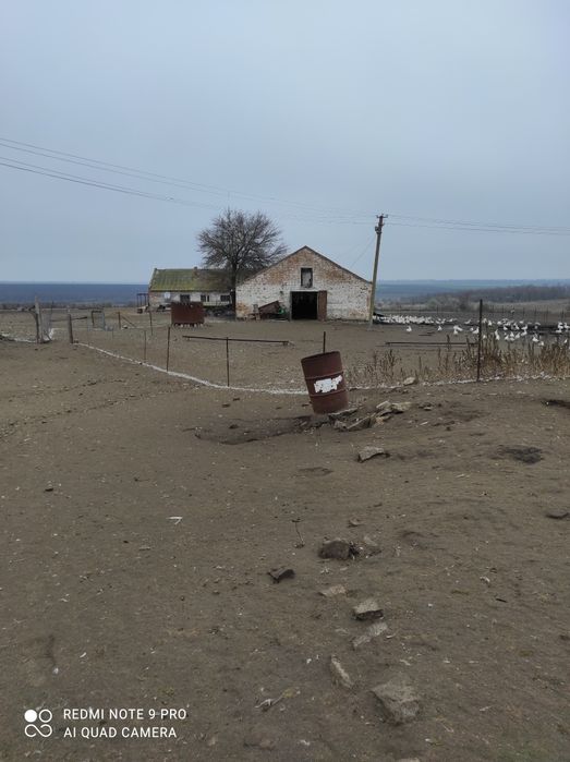 Продам ферму, птичник, телятник в Солонянском районе Днепр