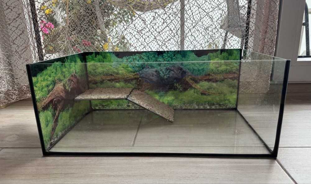 Terrarium 50x30X20