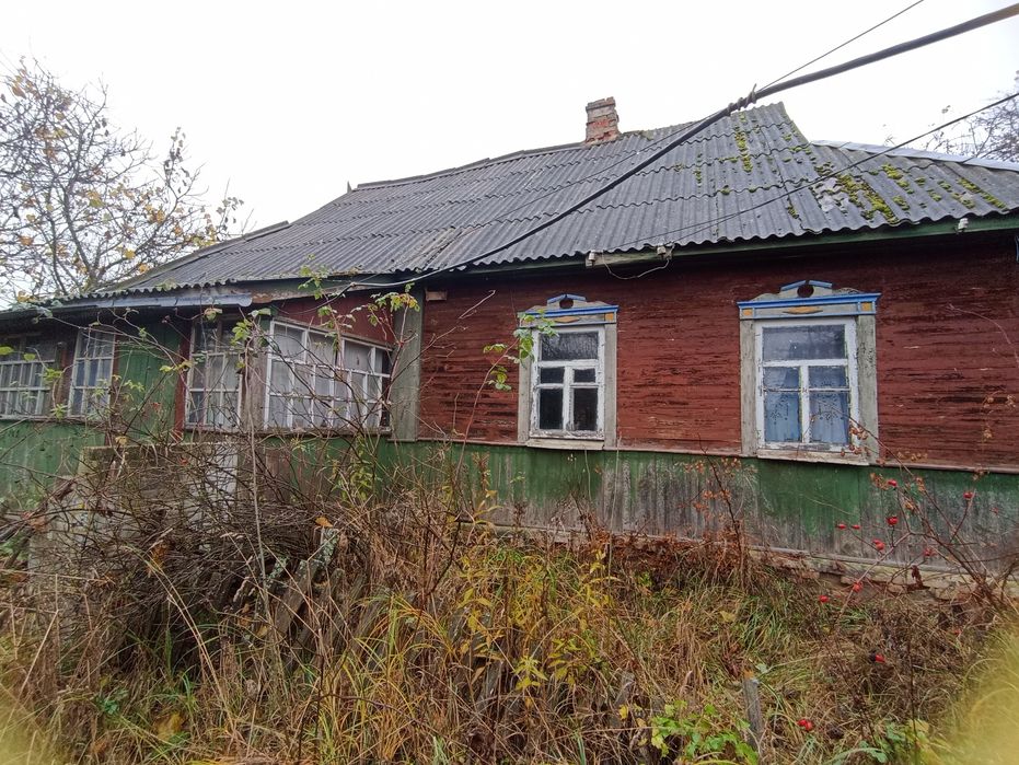 Будинок у селі Нове