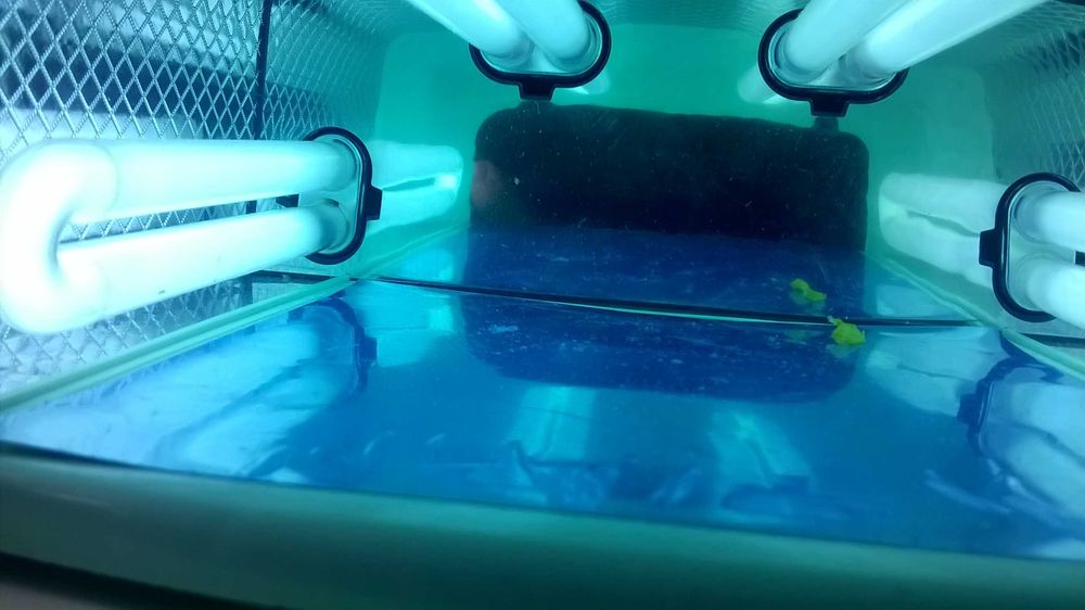 Lampa UV do paznokci