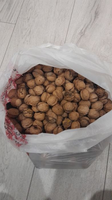 Продам грецькій горіх