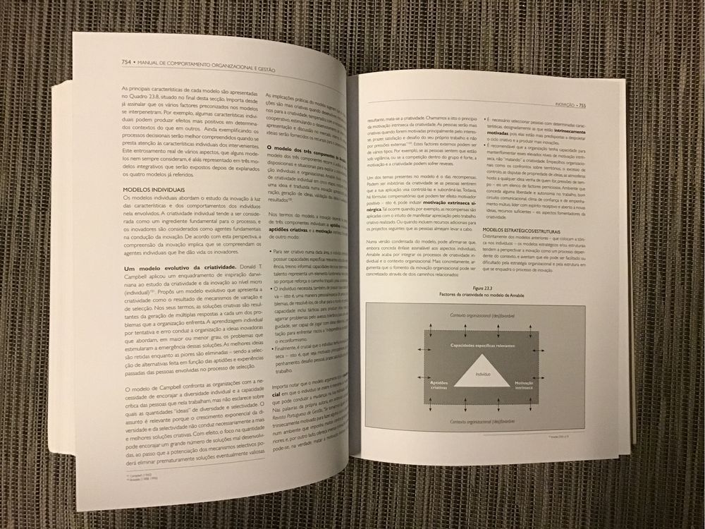 Manual de Comportamento Organizacional e Gestão 6ª edição 1038 páginas