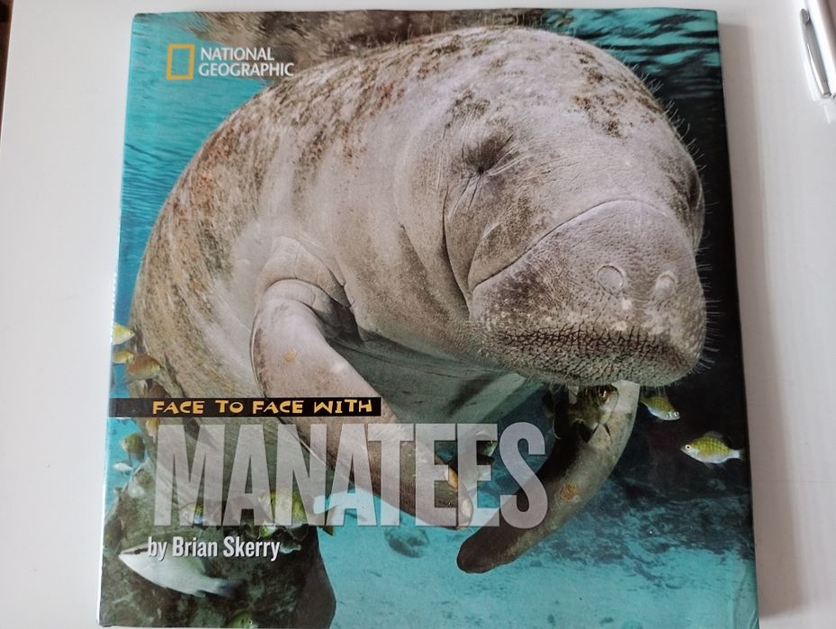 Face to Face with Manatees National Geographic