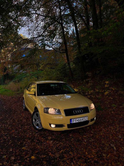 Audi A3 8P / 2004r / 1.6 benzina / klima