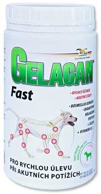 Gelacan fast Чехия 500 грамм