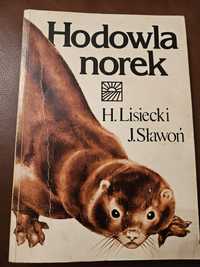 Hodowla Norek Lisiecki Sławoń