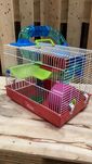 NOVA - Gaiola Hamster 2 níveis - PEDRÓS