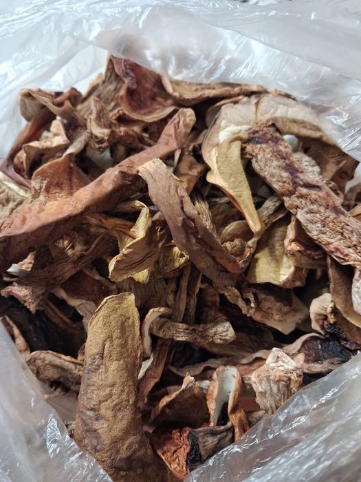 Prawdziwki, borowiki suszone 1kg