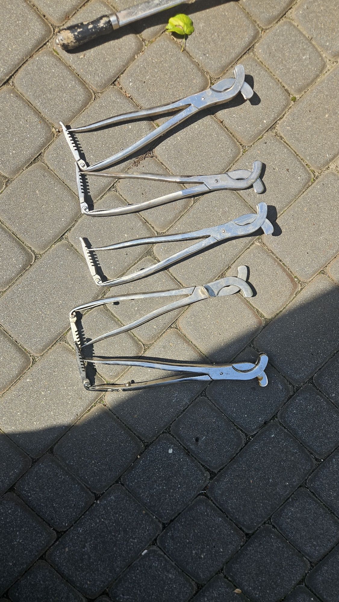 Szczypce kastracyjne dla byków i koni. Kastrator