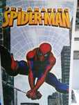 Estores de rolo spider-man