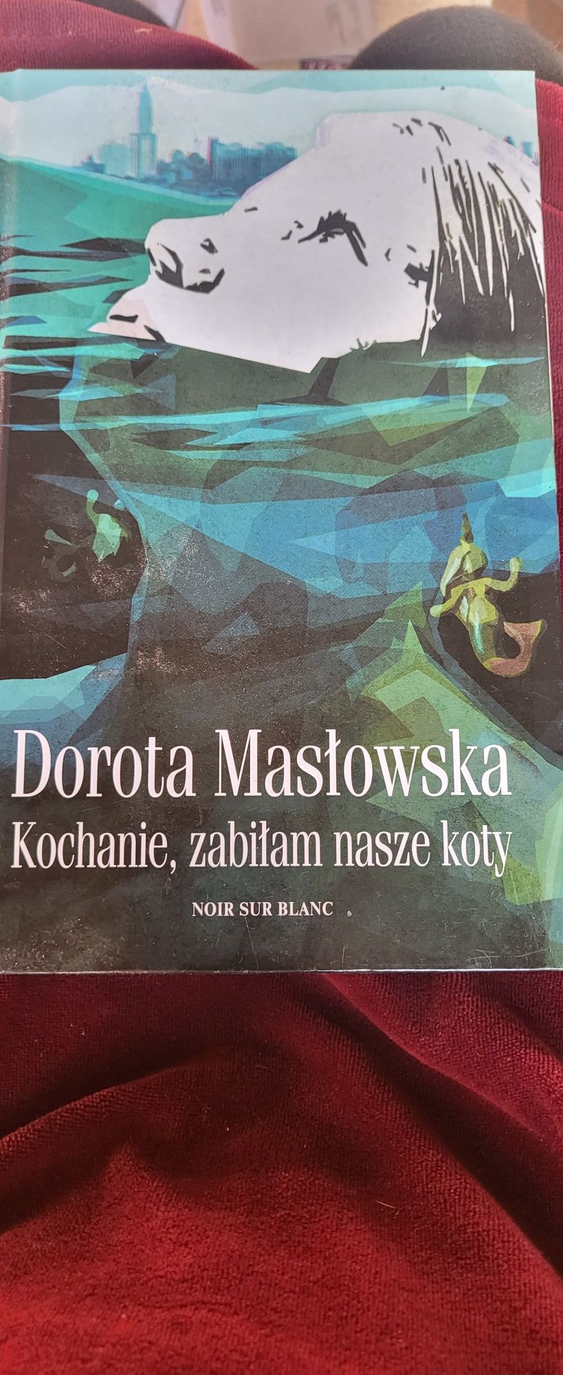 Kochanie, zabiłam nasze koty. Dorota Masłowska