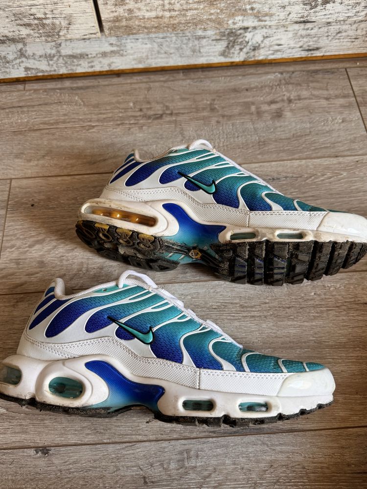 Nike Air Max Plus TN