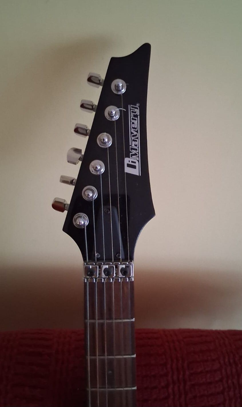 Gitara Dimavery, floyd rose