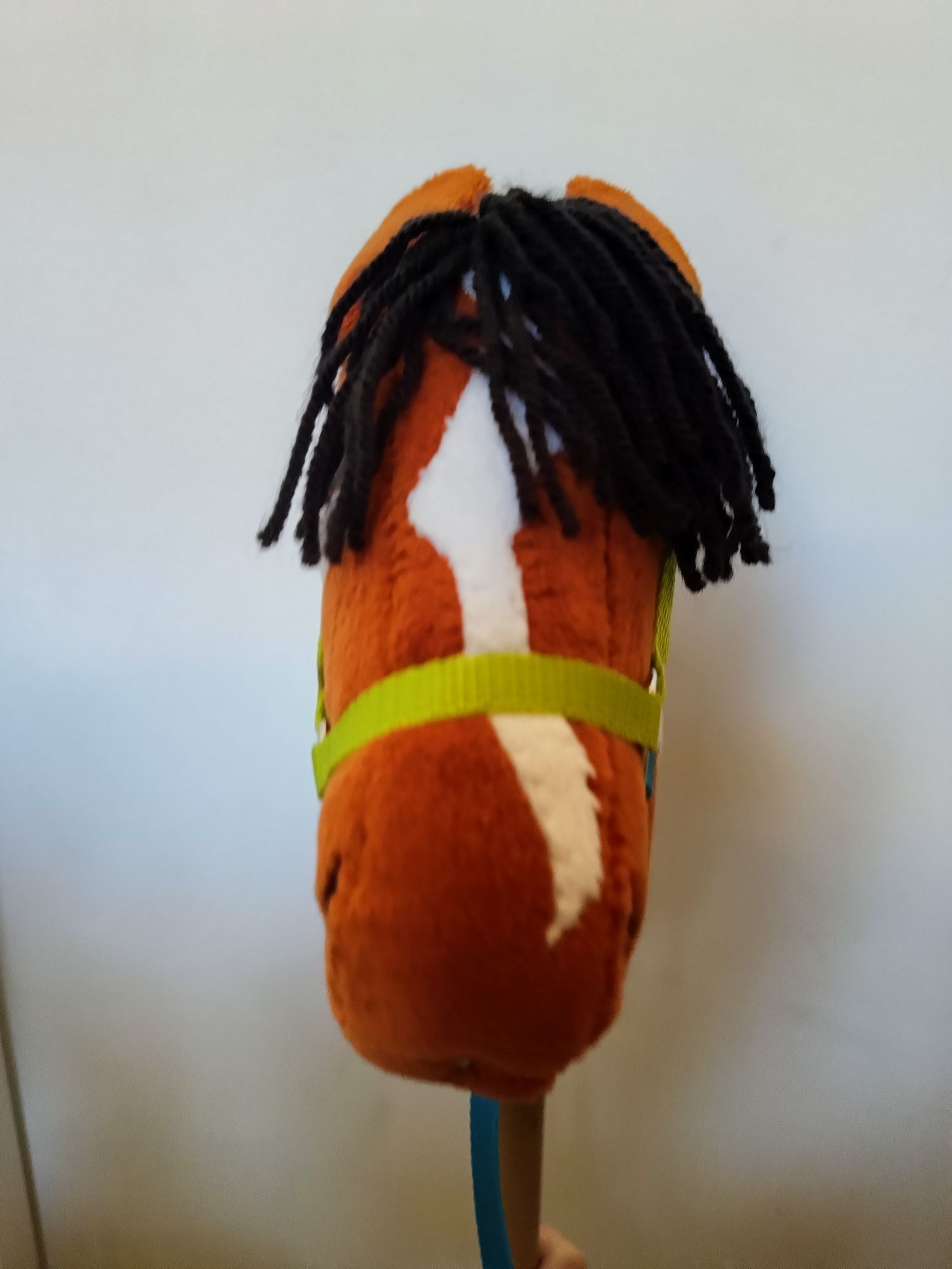 Hobby horse A4 rudy