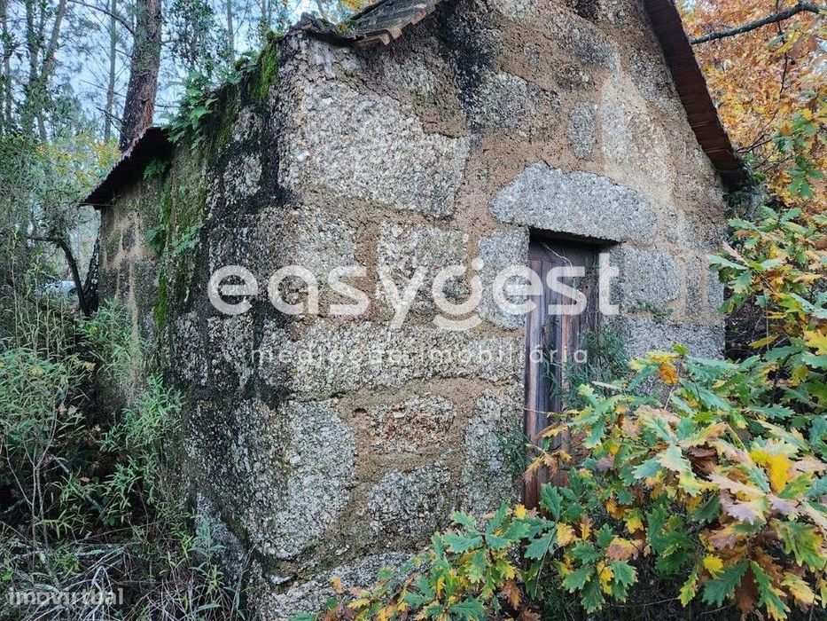 Terreno Rústico com 2450 m2 e pequena casa em pedra de arrumos
