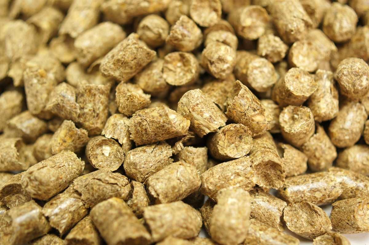 BedStraw pellet ze słomy ściółka dla koni i drobiu 67x15kg dostawa 0zł