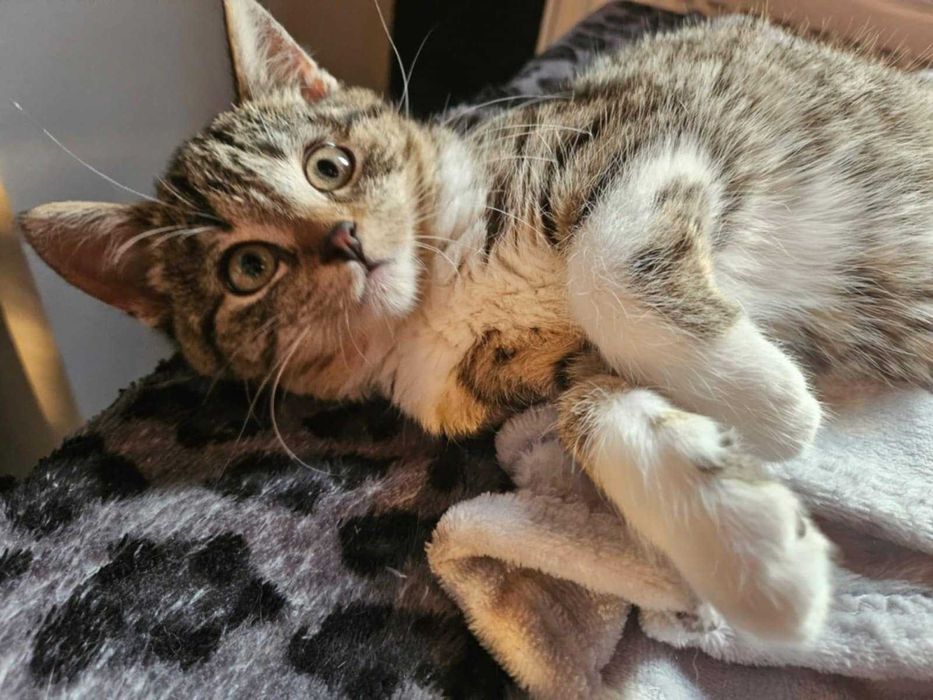 Luna szuka swojego człowieka