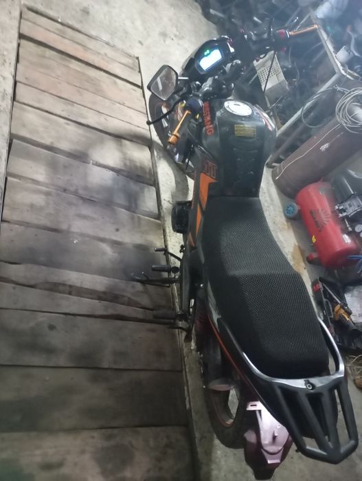 Мустанг мт 250 2024 рік