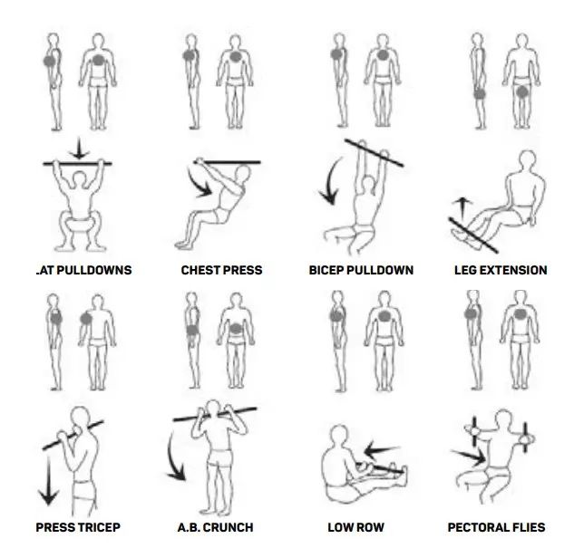 máquina de musculação gym-300 fitfiu