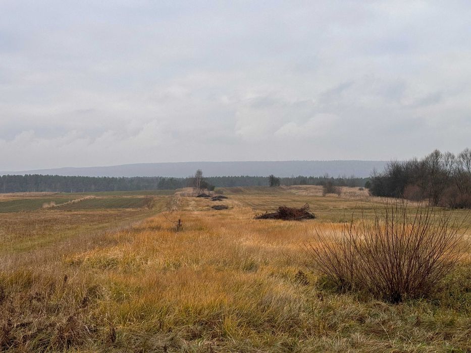 Sprzedam Działkę z w Wilkowie 4200 m2 Fotowoltaika na Starych Zasadach