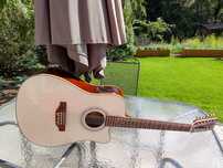 Gitara elektroakustyczna 12 strunowa Pasadena AW-12CEQ  wygodna //