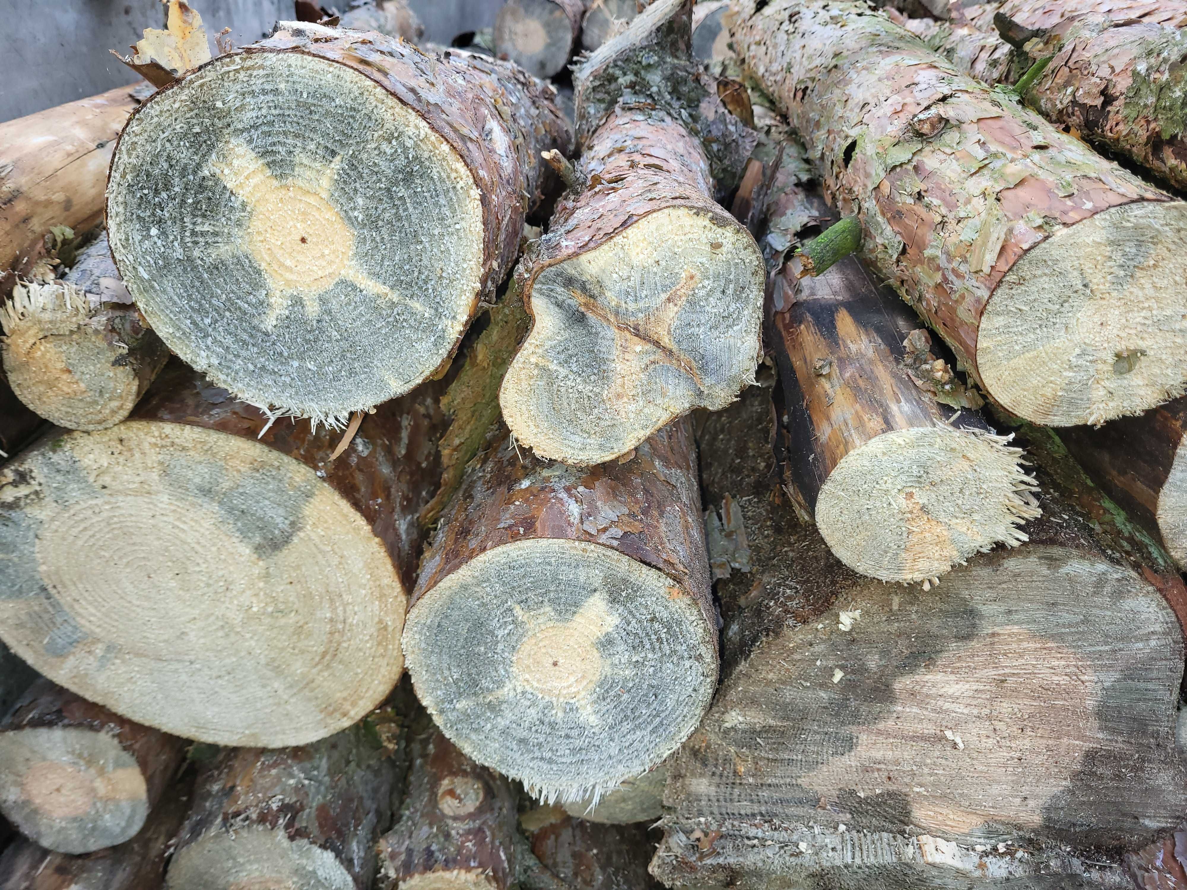 SUCHE Drewno opalowe kominkowe suszki sosnowe