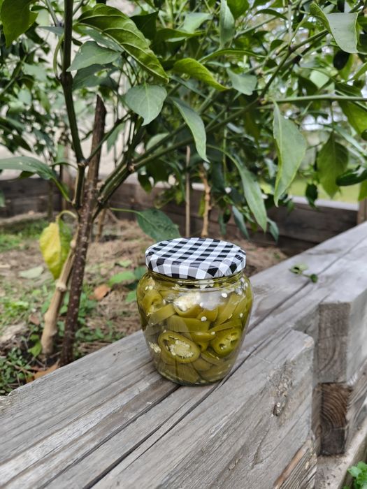 Papryka Jalapeno w occie