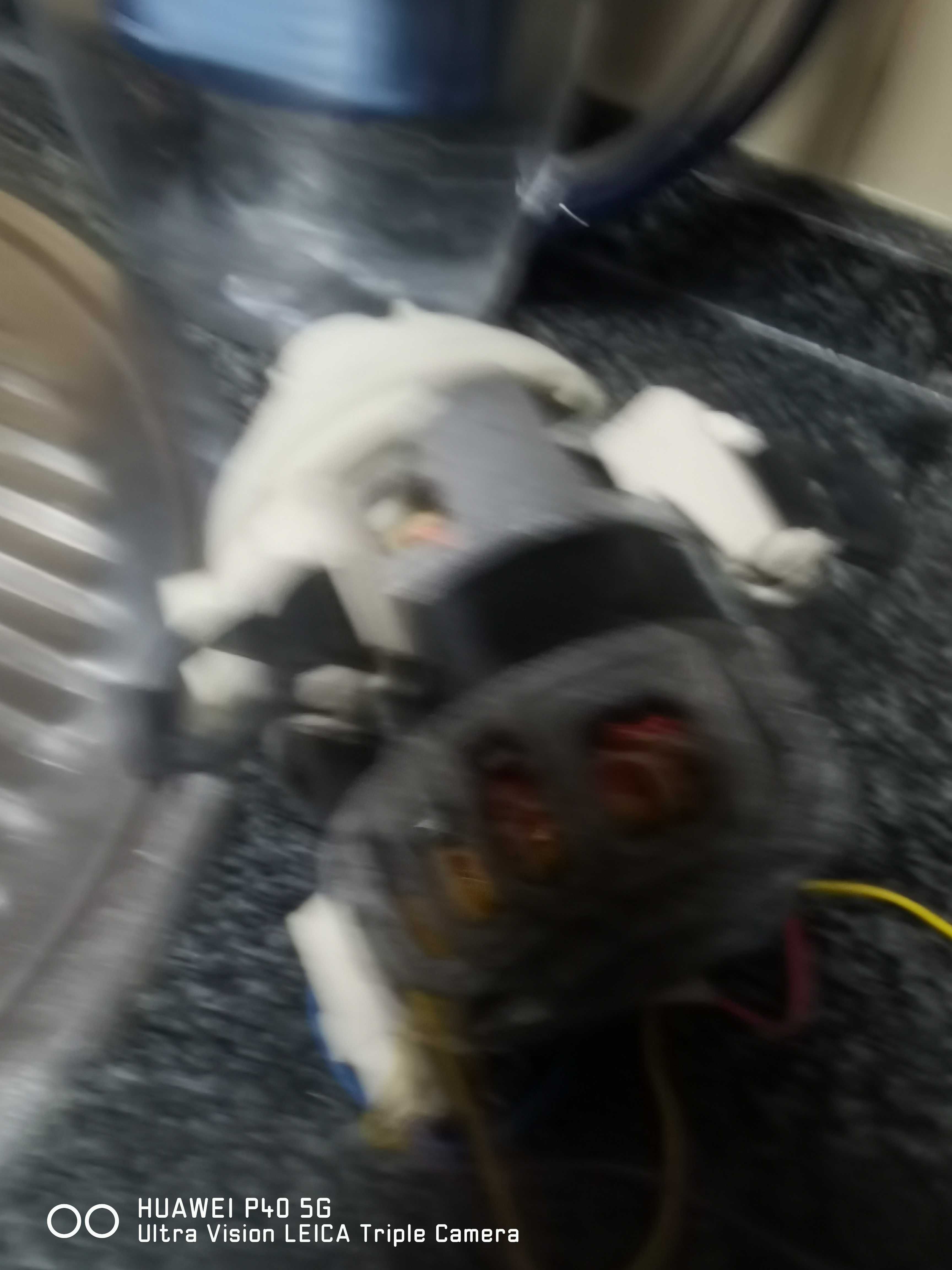 bomba de tirar água de uma máquinas lavar louca