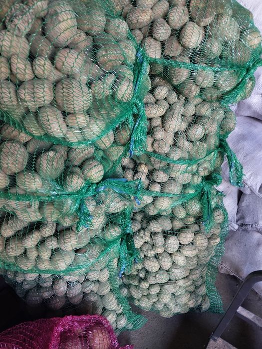 Ziemniaki drobne dla zwierzat 25kg