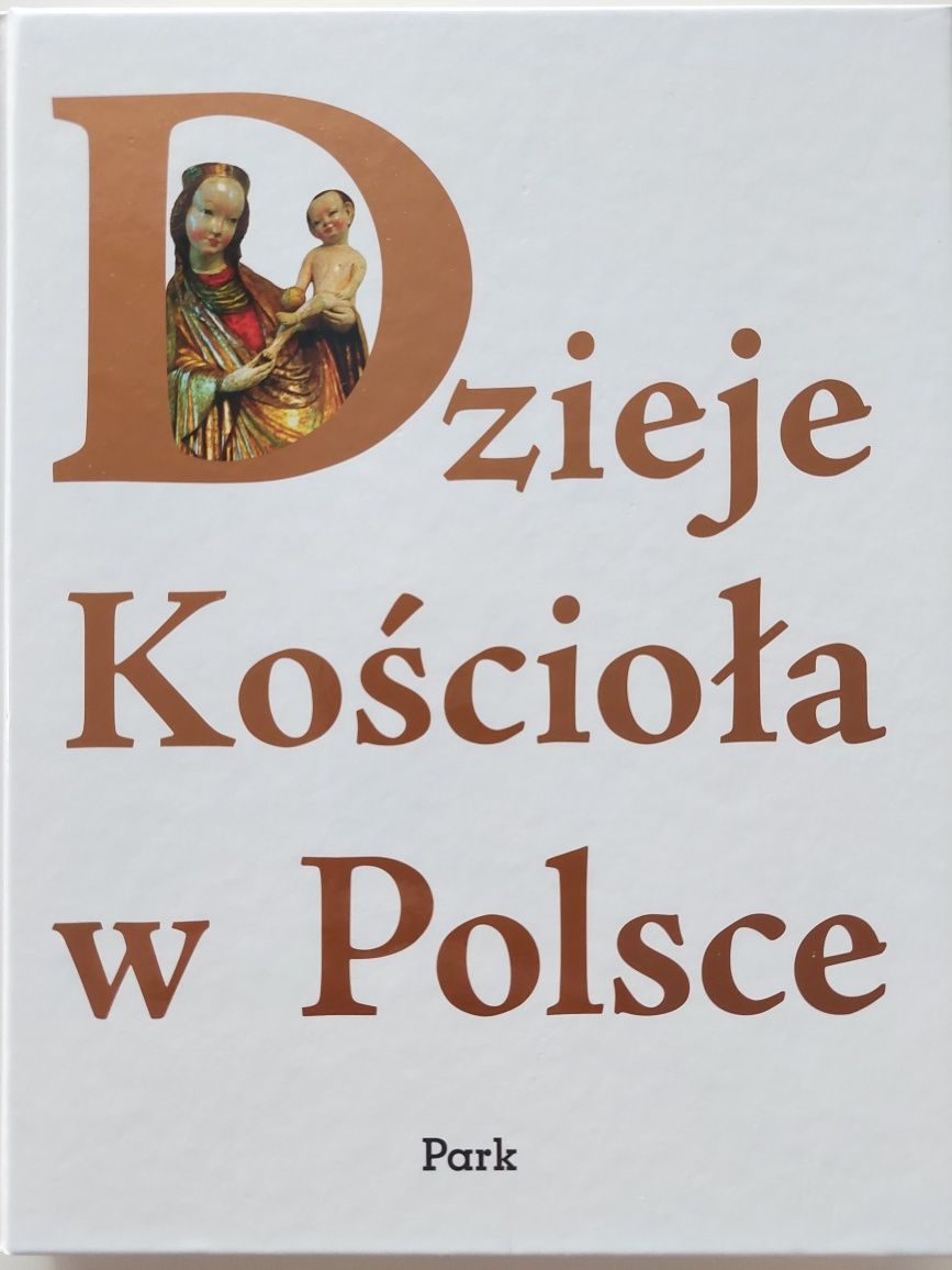 Książka Dzieje Kościoła w Polsce