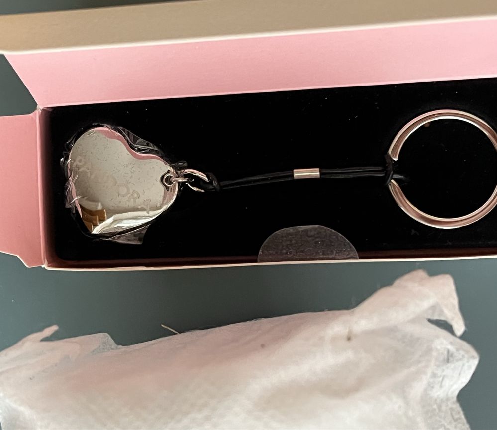 Zestaw dla fanki Pandora charms Winiper