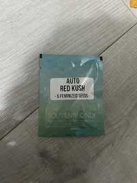 Sprzedam Nasiona marihuany Auto Red Kush