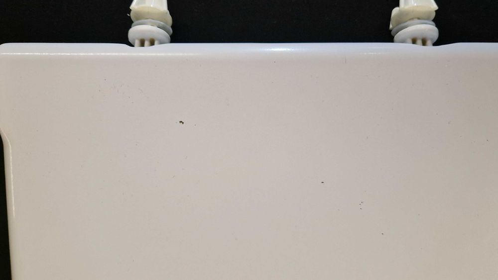 Tampa Sanita Roca DAMA