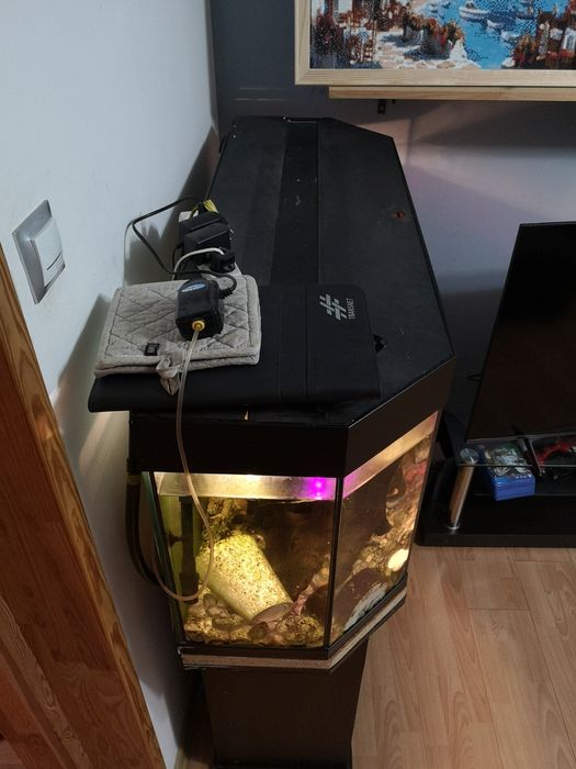 Akwarium trapezowe ok. 210L – kompletny zestaw