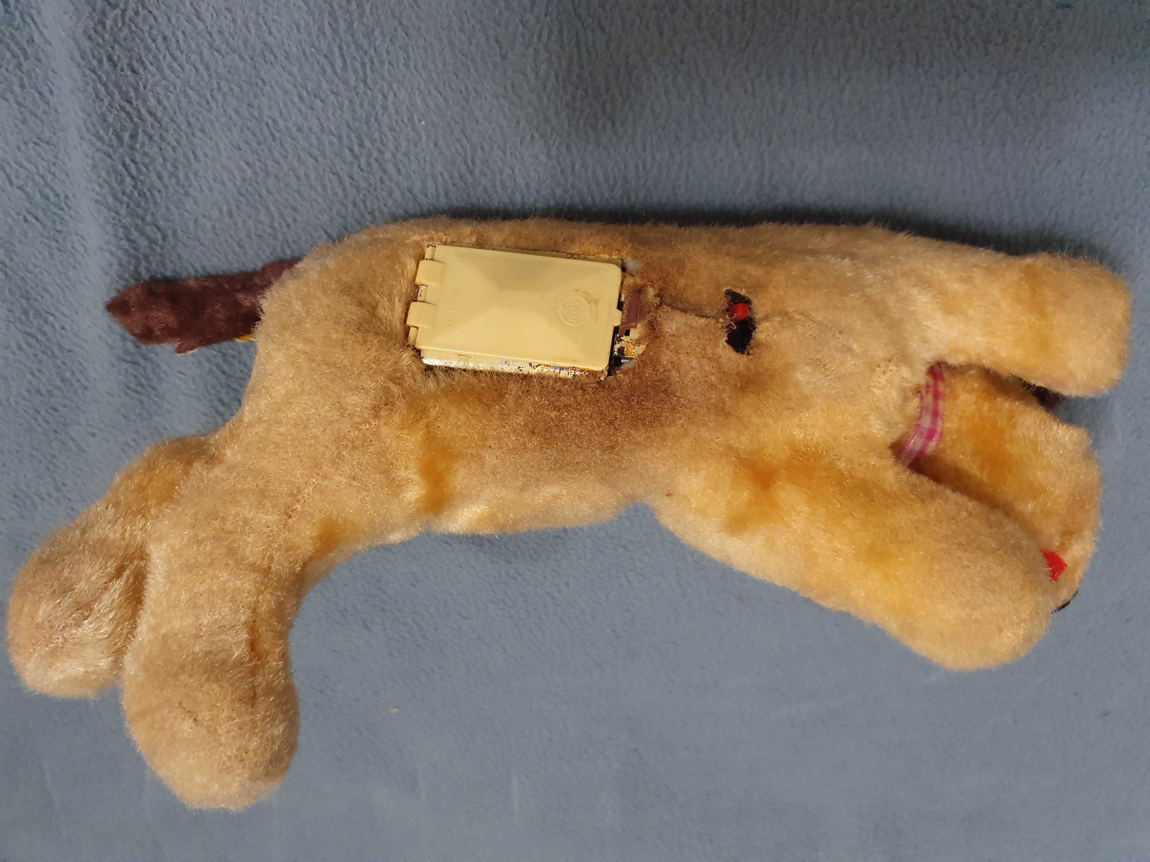 RVT IWAYA - Cão com Abelha Anos 60 - Japan
