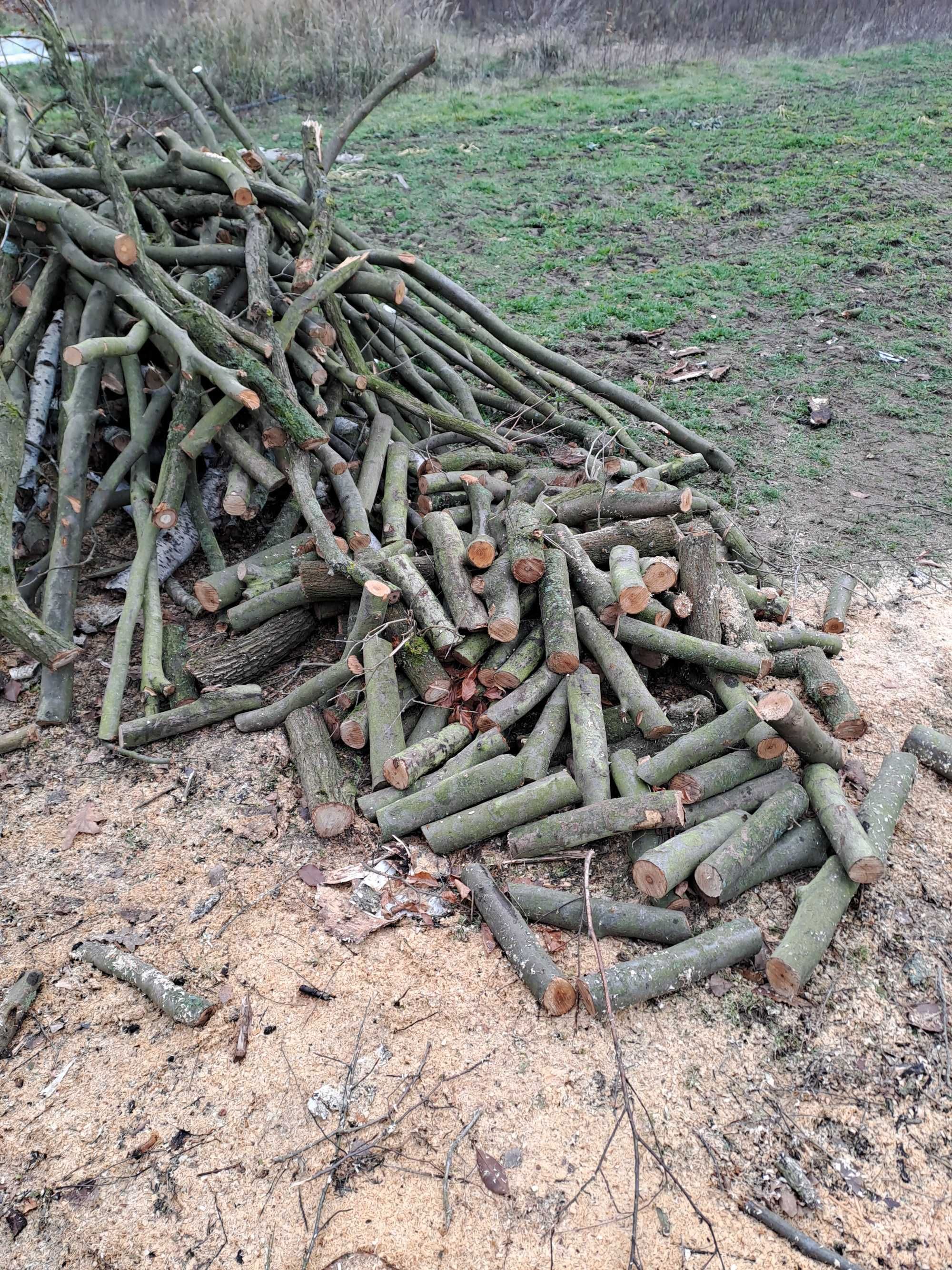 drewno opałowe sosna dąb buk brzoza ( gałęziówka)